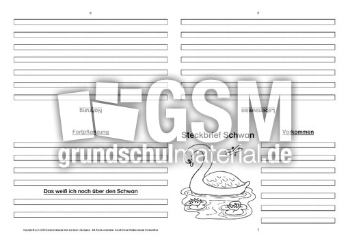 Schwan-Faltbuch-vierseitig.pdf